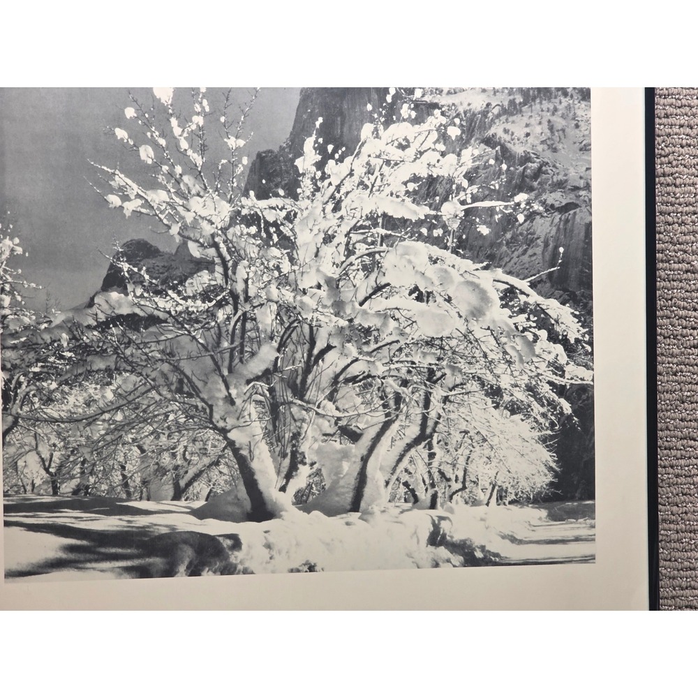 Ansel Adams Snow Covered Apple Orchard Mural Project Framed Art Print 22x28